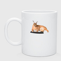 Кружка керамическая Большой кот Шлепа с клавиатурой, цвет: белый