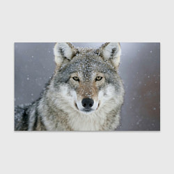 Бумага для упаковки Милый волк, цвет: 3D-принт