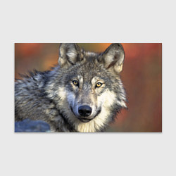 Бумага для упаковки Улыбка волка, цвет: 3D-принт