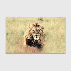 Бумага для упаковки Lion King, цвет: 3D-принт