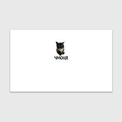 Бумага для упаковки Кот чмоня, цвет: 3D-принт