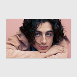 Бумага для упаковки Timothe Chalamet on a pink background, цвет: 3D-принт