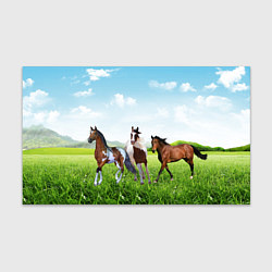 Бумага для упаковки Лошади в степи