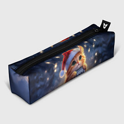 Пенал Кот который ждет новый год