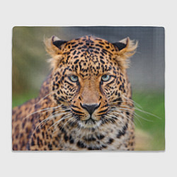 Плед флисовый Грустный леопард, цвет: 3D-велсофт
