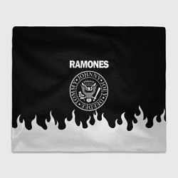 Плед флисовый RAMONES, цвет: 3D-велсофт