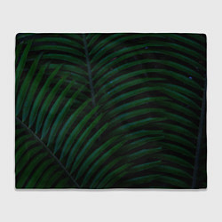 Плед флисовый Пальмовые листья, цвет: 3D-велсофт