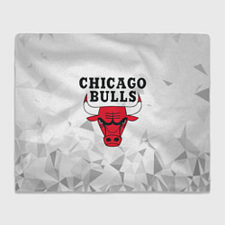 Плед CHICAGO BULLS