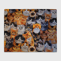 Плед флисовый КОТЯТКИ, цвет: 3D-велсофт