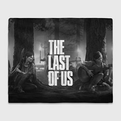 Плед флисовый THE LAST OF US 2, цвет: 3D-велсофт