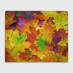 Плед флисовый Осенние листья, цвет: 3D-велсофт