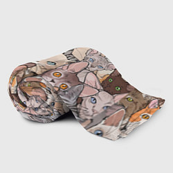 Плед флисовый Котики, цвет: 3D-велсофт — фото 2