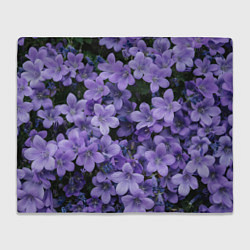 Плед флисовый Фиолетовый цвет весны, цвет: 3D-велсофт