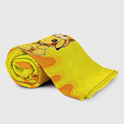 Плед флисовый Пикачу и корги, цвет: 3D-велсофт — фото 2