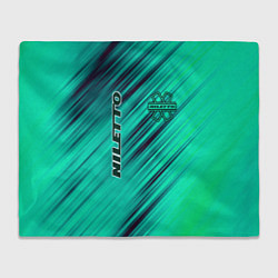 Плед флисовый Нилетто Niletto лого, цвет: 3D-велсофт