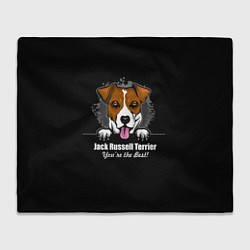 Плед флисовый Джек-Рассел-Терьер Jack Russell Terrier, цвет: 3D-велсофт