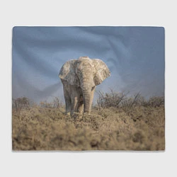 Плед флисовый Африканский белый слон, цвет: 3D-велсофт