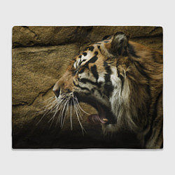 Плед флисовый Зевающий тигр, цвет: 3D-велсофт