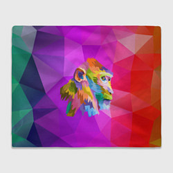 Плед флисовый Цветная обезьяна Color monkey, цвет: 3D-велсофт
