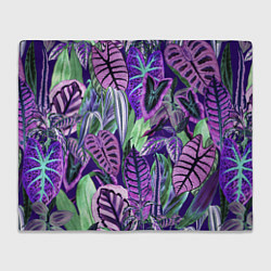 Плед флисовый Цветы Яркие Тропики, цвет: 3D-велсофт