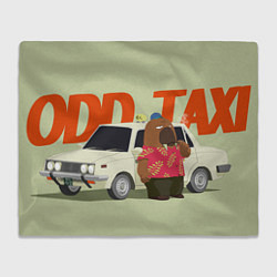 Плед флисовый Хироси Одокава Odd taxi, цвет: 3D-велсофт