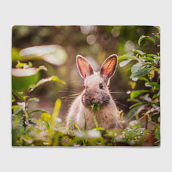 Плед флисовый Милый кролик, цвет: 3D-велсофт