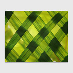 Плед флисовый Узор из натуральной травы, цвет: 3D-велсофт