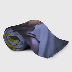 Плед флисовый Амос Бертон, цвет: 3D-велсофт — фото 2