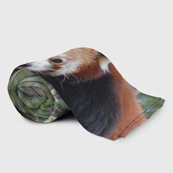 Плед флисовый Красная панда, цвет: 3D-велсофт — фото 2