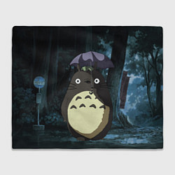 Плед флисовый Totoro in rain forest, цвет: 3D-велсофт