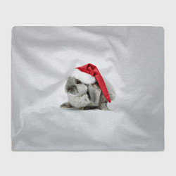 Плед флисовый Рождественский кролик - 2023, цвет: 3D-велсофт
