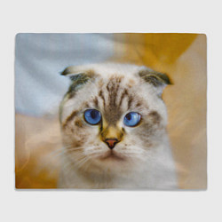 Плед флисовый Кошка породы шотландская вислоухая косоглазая, цвет: 3D-велсофт
