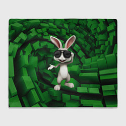 Плед флисовый Прикольный заяц в тёмных очках, цвет: 3D-велсофт
