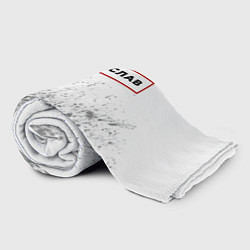 Плед флисовый Святослав - в красной рамке на светлом, цвет: 3D-велсофт — фото 2