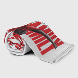 Плед флисовый Yor Forger Spy x Family, цвет: 3D-велсофт — фото 2