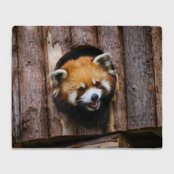 Плед флисовый Красная панда в дереве, цвет: 3D-велсофт