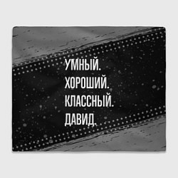 Плед флисовый Умный, хороший, классный: Давид, цвет: 3D-велсофт