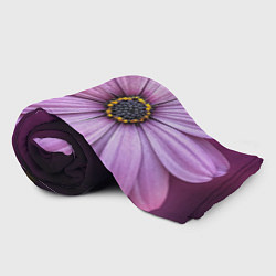 Плед флисовый Фиолетовый цветок - WOMAN, цвет: 3D-велсофт — фото 2