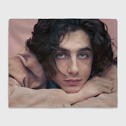 Плед флисовый Timothe Chalamet on a pink background, цвет: 3D-велсофт