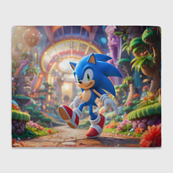 Плед флисовый Sonic фантастический мир, цвет: 3D-велсофт