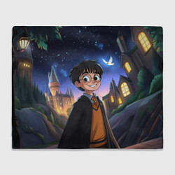 Плед флисовый Счастливый Гарри Поттер, цвет: 3D-велсофт