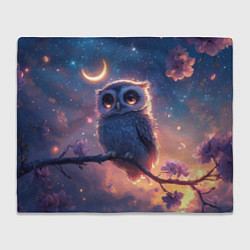 Плед флисовый Совушка и полумесяц, цвет: 3D-велсофт