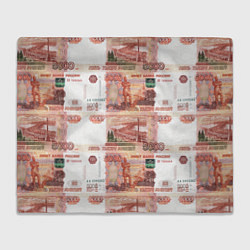 Плед флисовый 5 000 рублей, цвет: 3D-велсофт