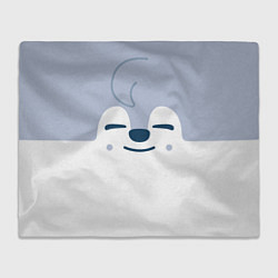 Плед флисовый Wolf Chan skzoo, цвет: 3D-велсофт