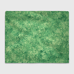 Плед флисовый Фисташковый текстура напыление, цвет: 3D-велсофт