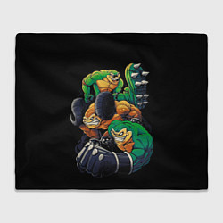 Плед флисовый Battletoads trio, цвет: 3D-велсофт