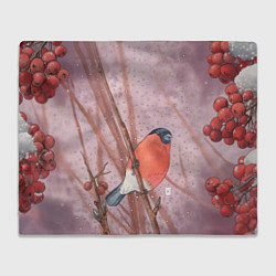 Плед флисовый Снегирь и зимние ягоды, цвет: 3D-велсофт