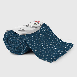 Плед флисовый Кот мем - 2026, цвет: 3D-велсофт — фото 2