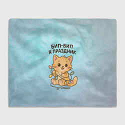 Плед флисовый Бип-Бип я праздник - рыжий котик, цвет: 3D-велсофт