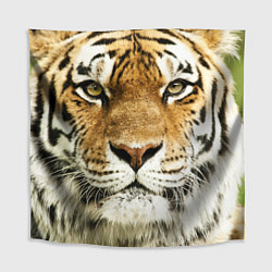 Скатерть для стола Амурский тигр, цвет: 3D-принт